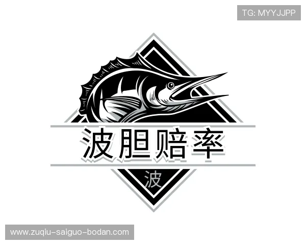 介绍精准比分预测